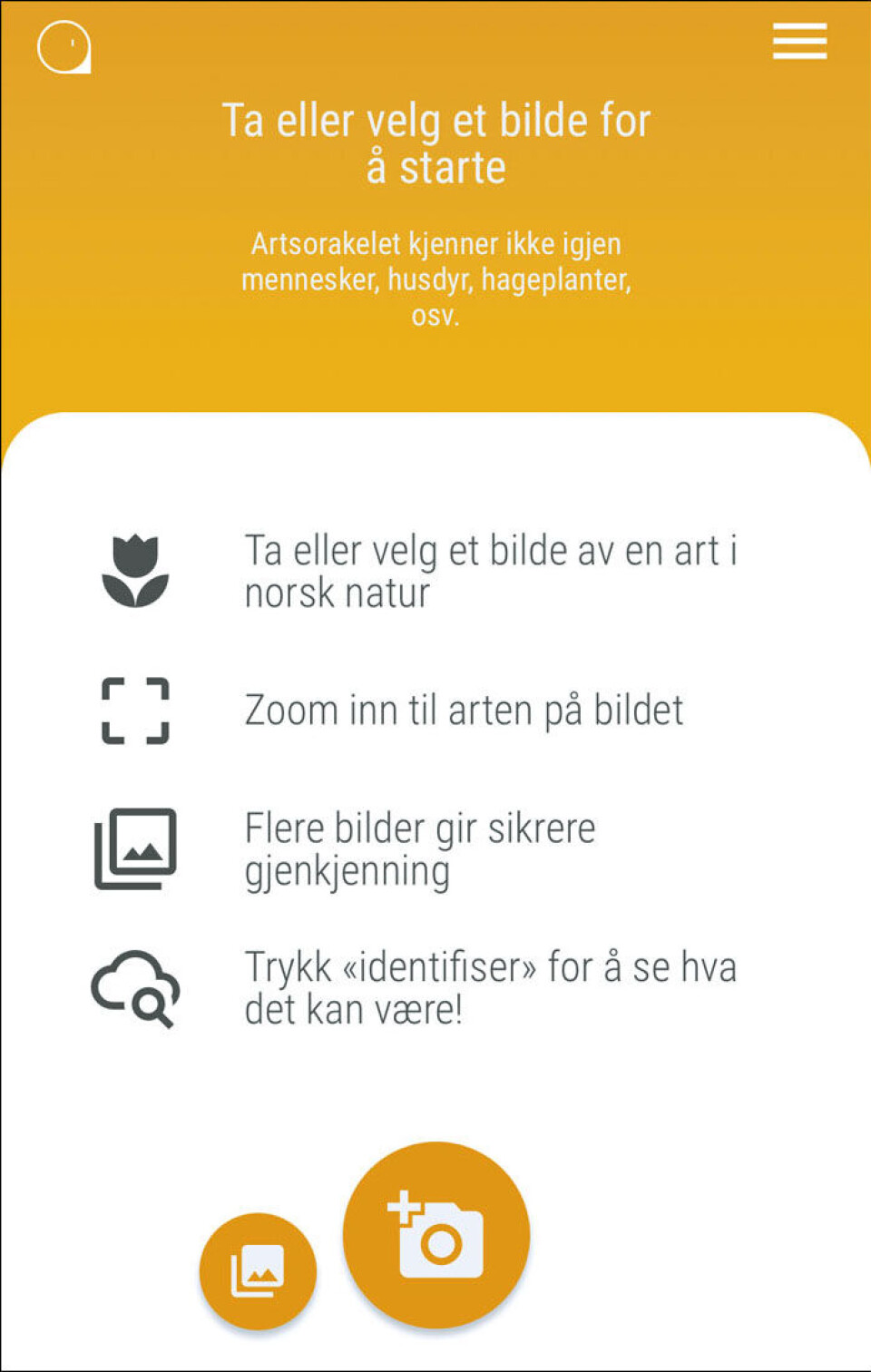 Artsorakel: Utviklet av Artsdatabasen, Gjenkjenner ville dyr og planter i Norge fra bilder tilgjengelig på artsobservasjoner.no