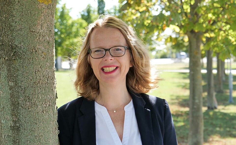 Skolbibdagen 24. oktober – noko for deg?