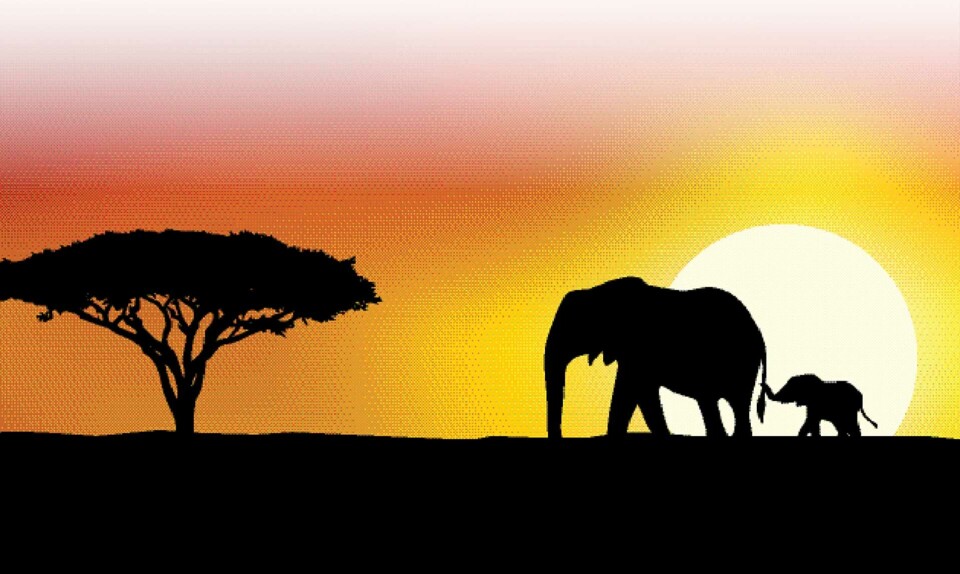 Afrika i frykt og håp