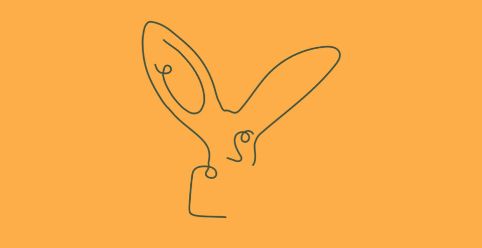 Bibliotekets litteraturpris Logo Bibliotekets litteraturpris