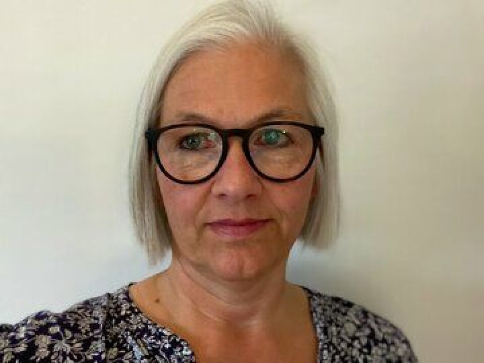 Ellen Ovenstad, enhetsleder i Yrkesseksjon kirke, kultur og oppvekst i Fagforbundet. Foto: privat