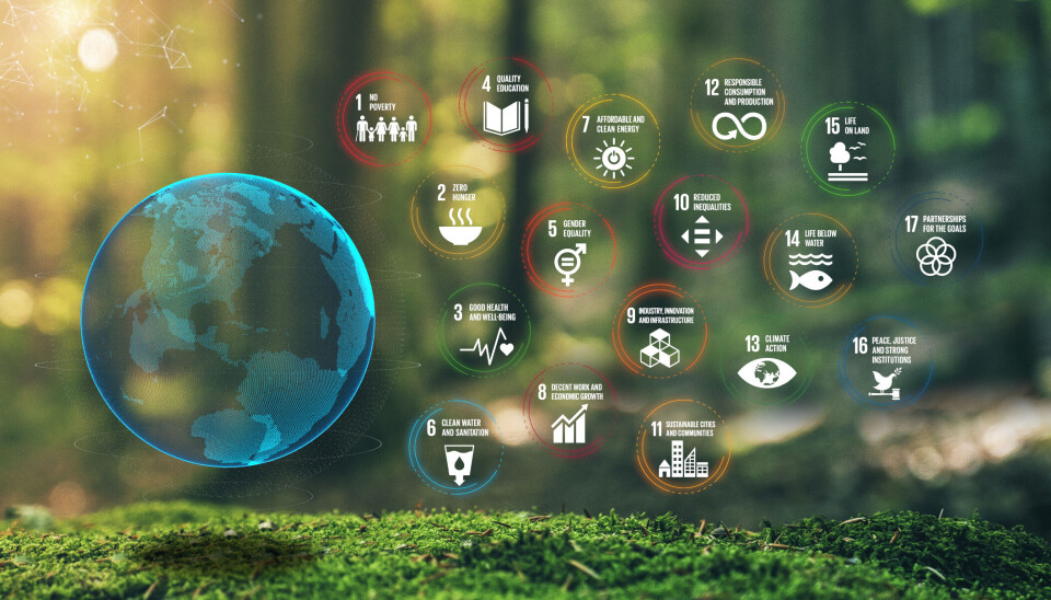 Sammen om målene: 'Bærekraft ligger i bibliotekets DNA. Bibliotekene er verdens eldste delingskultur, som skaper miljømessige og sosiale verdier,' skriver Norsk bibliotekforening. Uke17 er et redskap på veien mot en bærekraftig framtid.