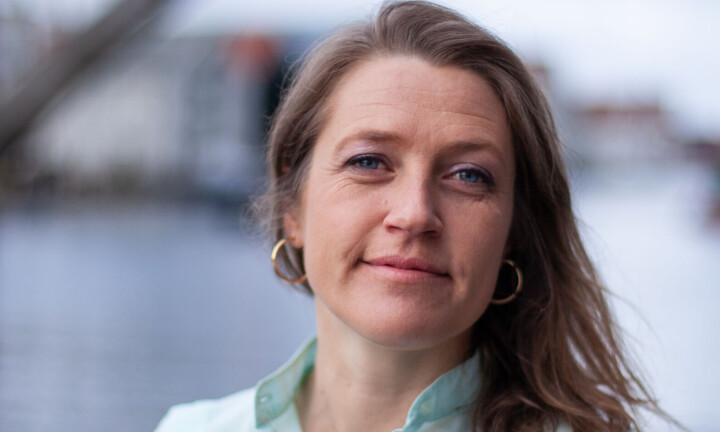 Rasering: – Det å bevare sterke bibliotek er å bevare demokratiet, skriver Helene Voldner i Norsk bibliotekforening, som ser en pågående raseringen av grunnmuren for USAs biblioteksektor.